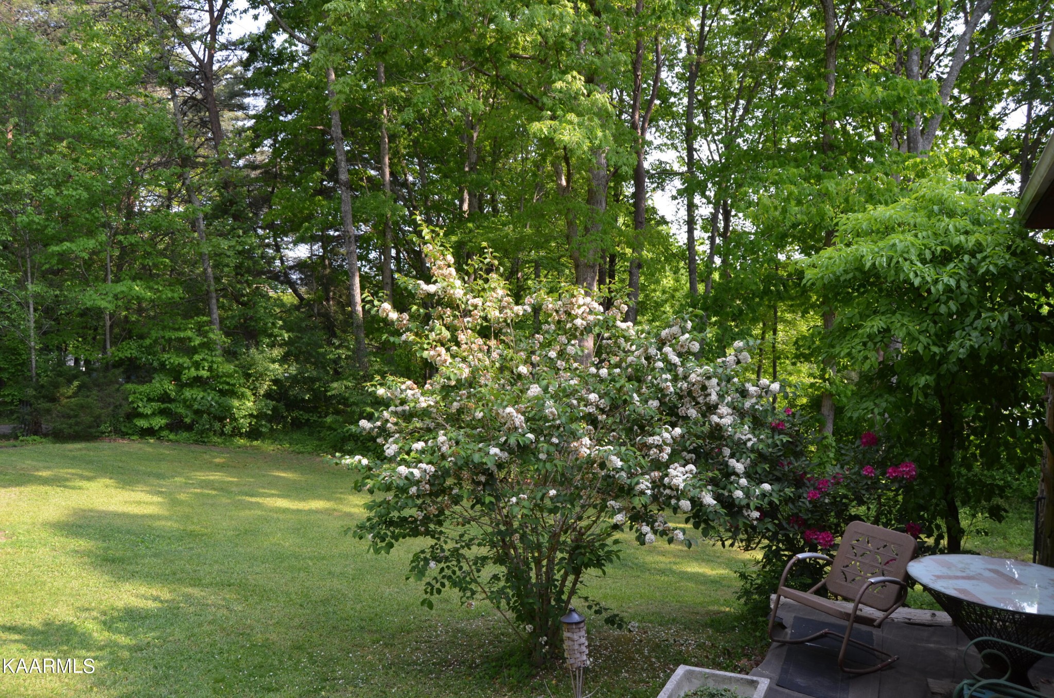 484 Kerrigan Road Crossville, TN 38555 - Photo 5 of 23 a view of a backyard with sitting area