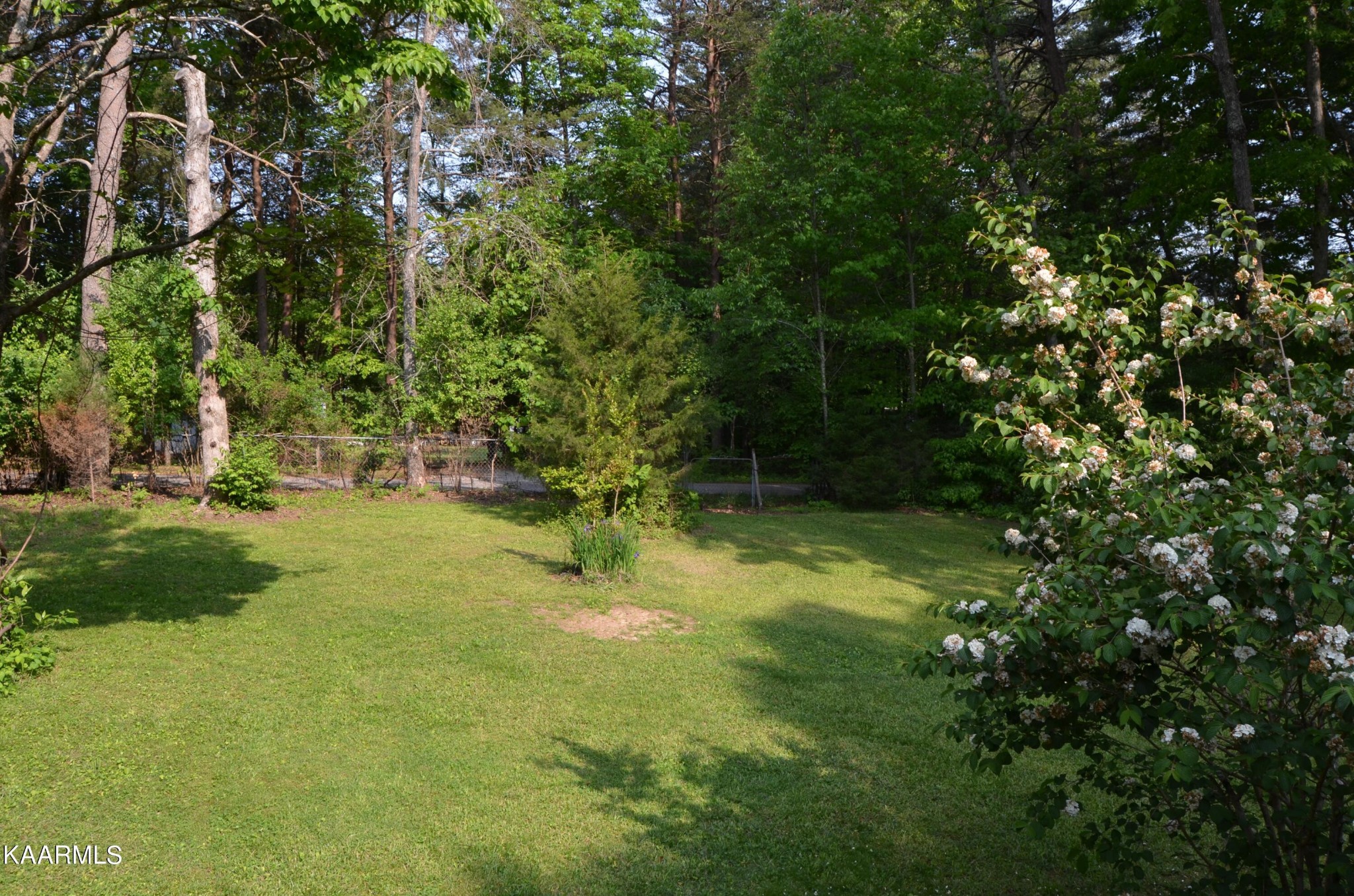484 Kerrigan Road Crossville, TN 38555 - Photo 6 of 23 a view of yard with green space