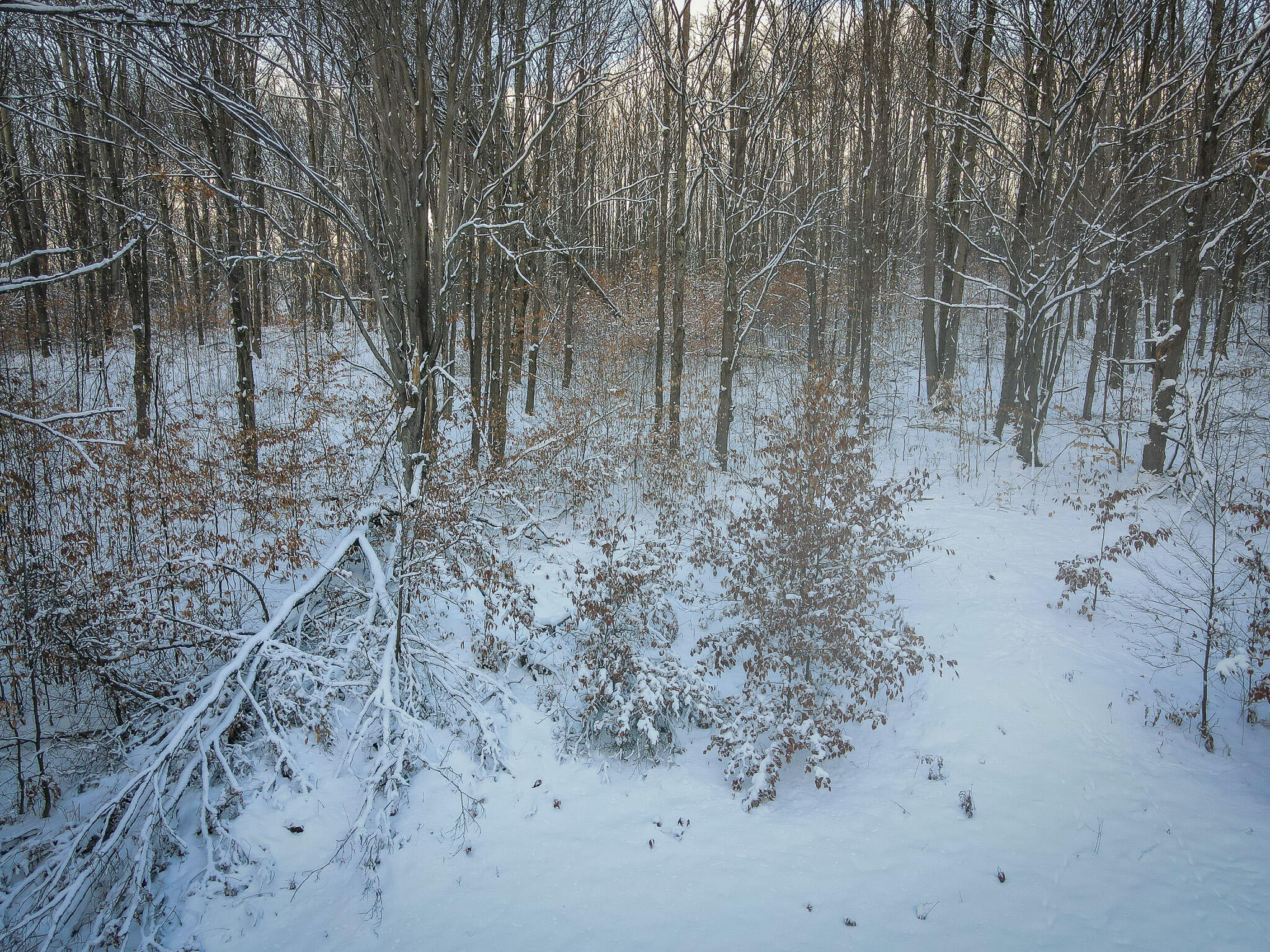 V/l West Phelps Road Manton, MI 49663 - Photo 4 of 18 DJI_0835
