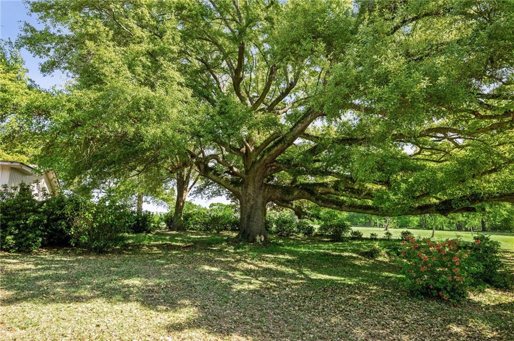 59502 Mt Pleasant Road, Unit 2 Bogalusa, LA 70427 - Photo 7 of 21
