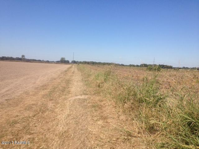 0 Lagneaux Road Duson, LA 70529 - Photo 2 of 2 IMG_1723