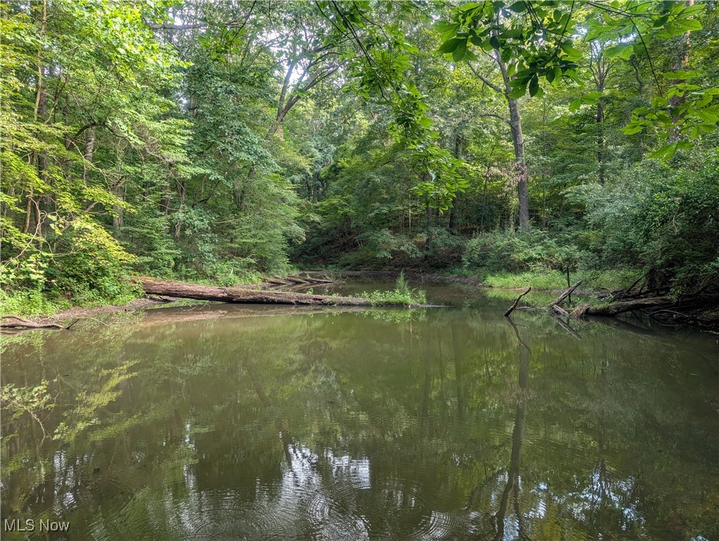 Toll Gate Road Northwest Somerset, OH 43783 - Photo 7 of 40 Water view with a heavily wooded area