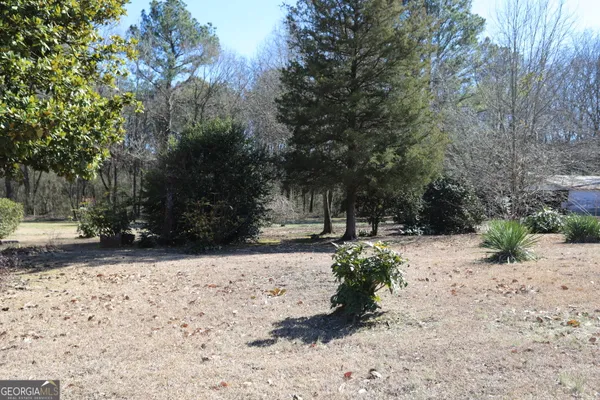 a view of a yard with trees