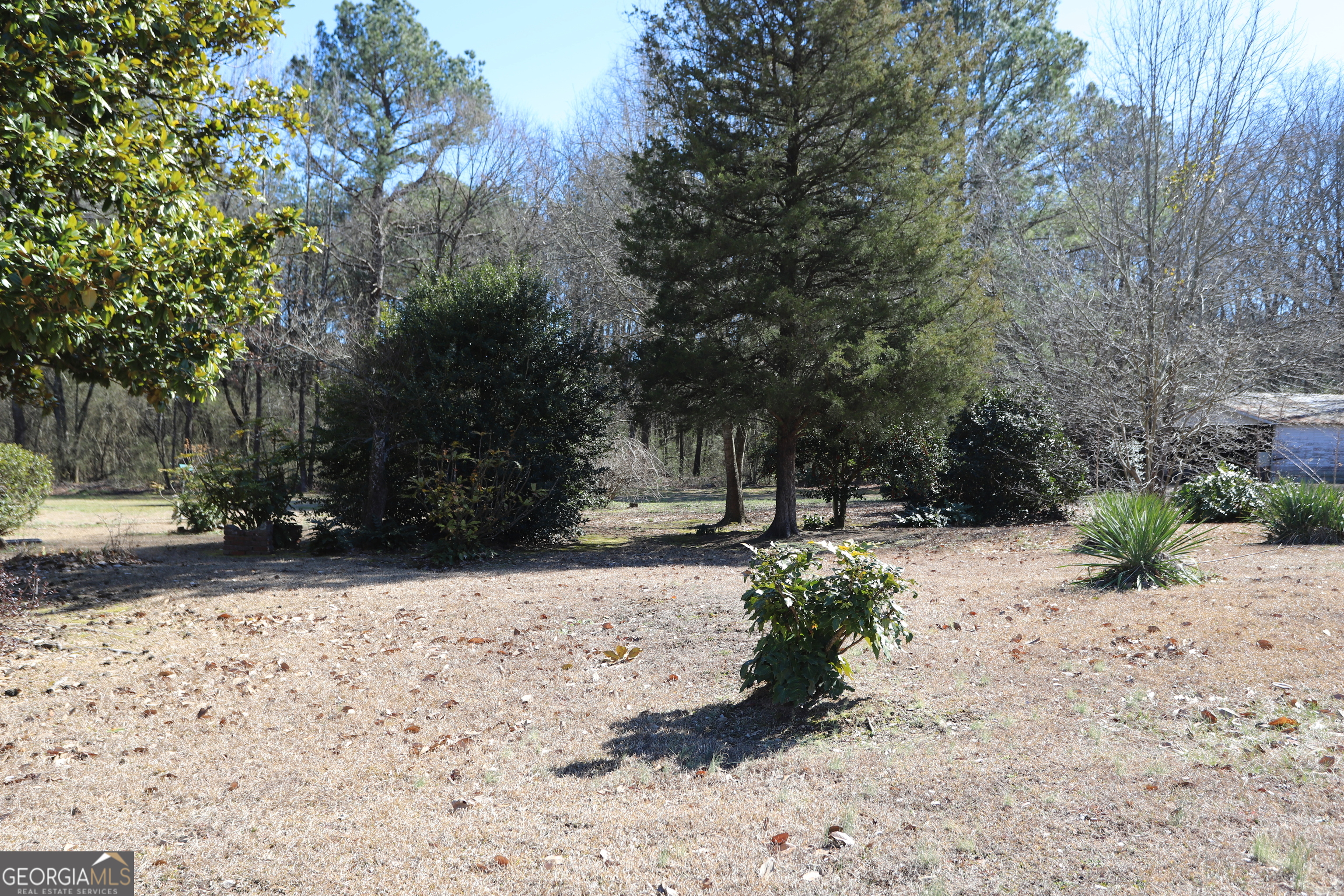 6797 Highway 114 Lyerly, GA 30730 - Photo 3 of 56 a view of a yard with trees