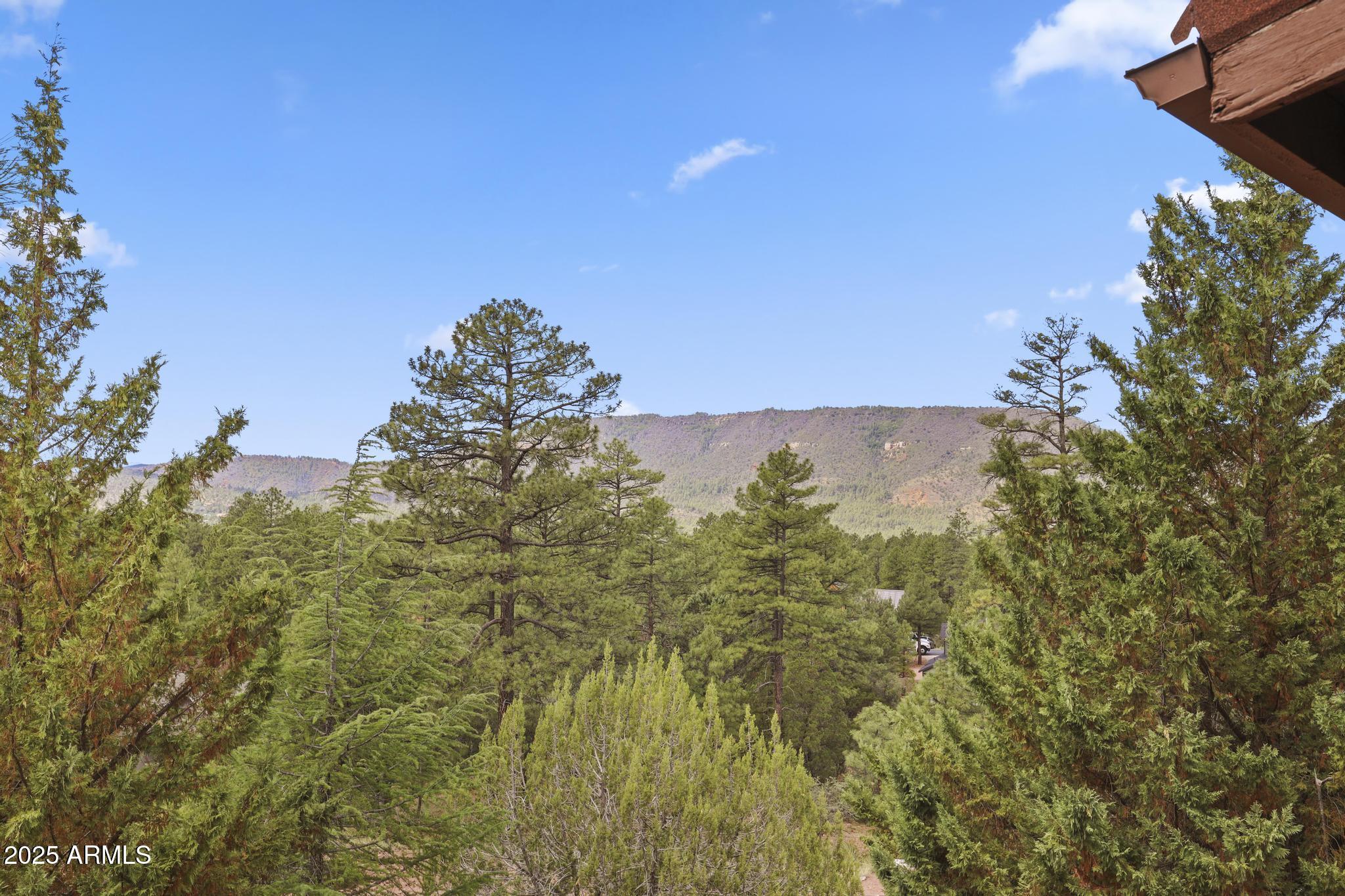 5555 Solitude Trail Loop Pine, AZ 85544 - Photo 2 of 41 1E0A5308