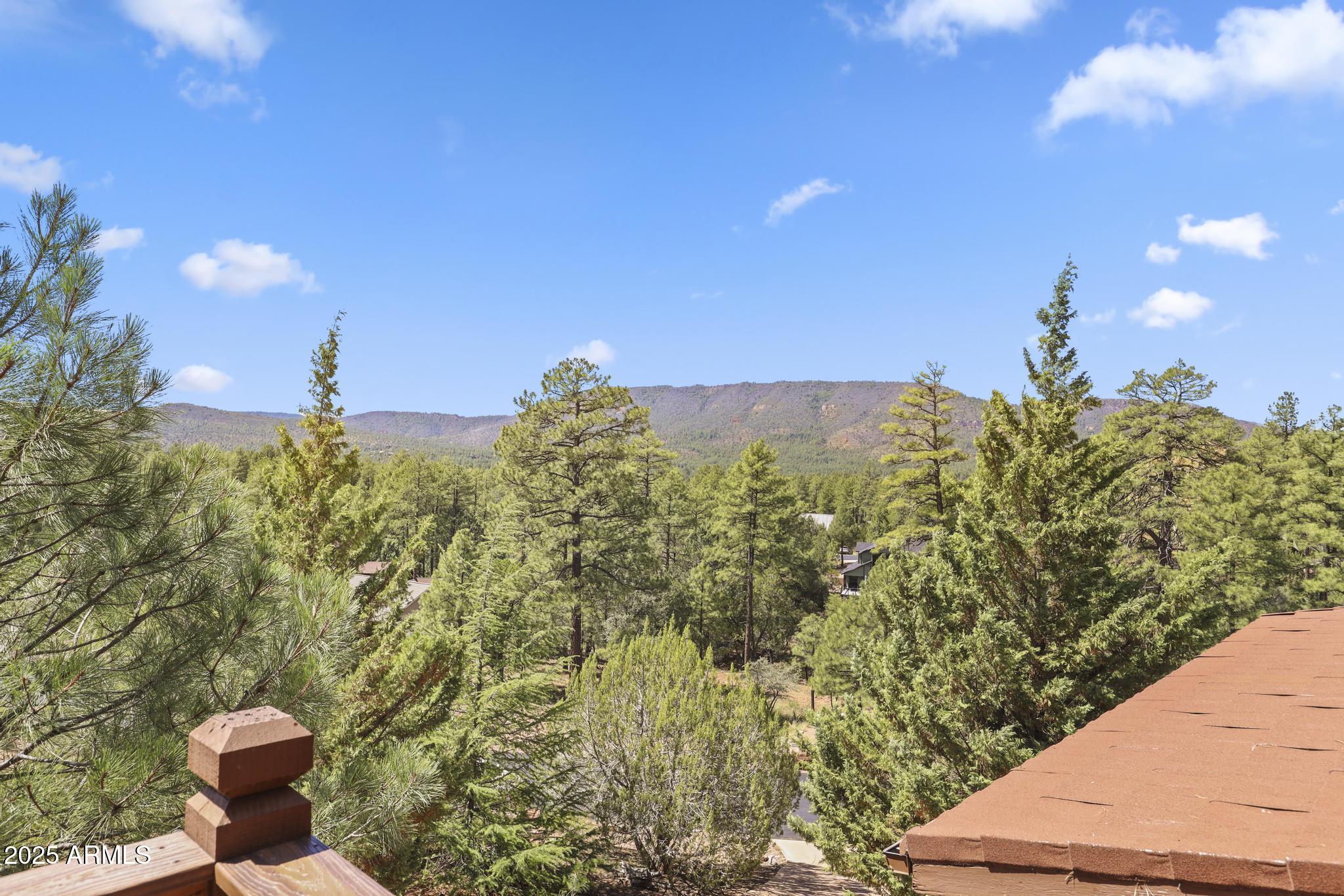 5555 Solitude Trail Loop Pine, AZ 85544 - Photo 33 of 41 1E0A5479