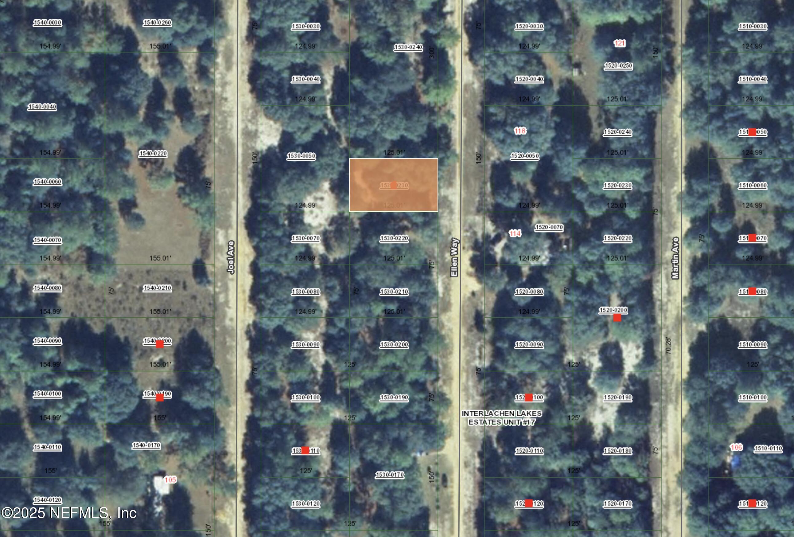 0 Ellen Avenue Interlachen, FL 32148 - Photo 2 of 3 a picture of street view