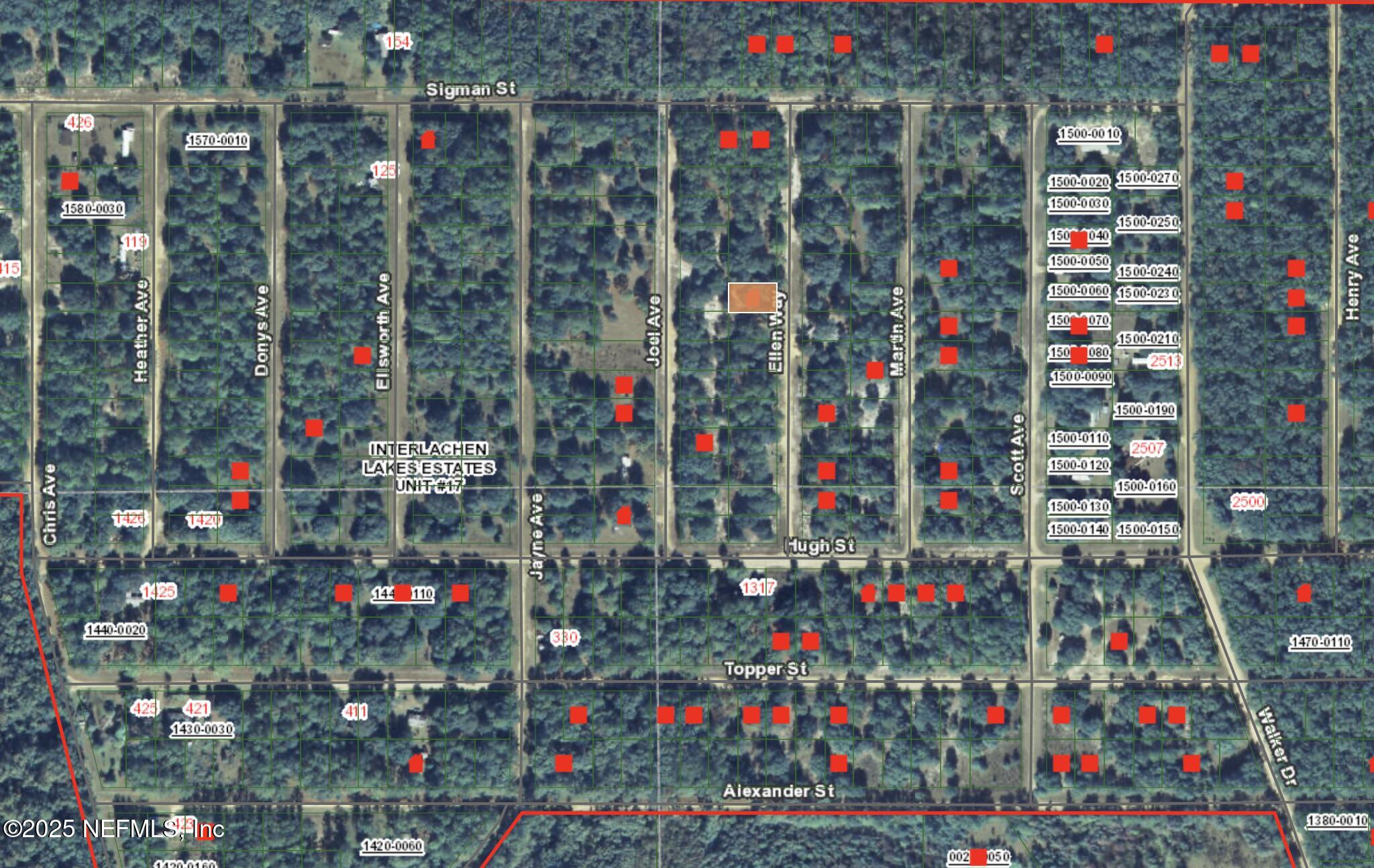 0 Ellen Avenue Interlachen, FL 32148 - Photo 3 of 3