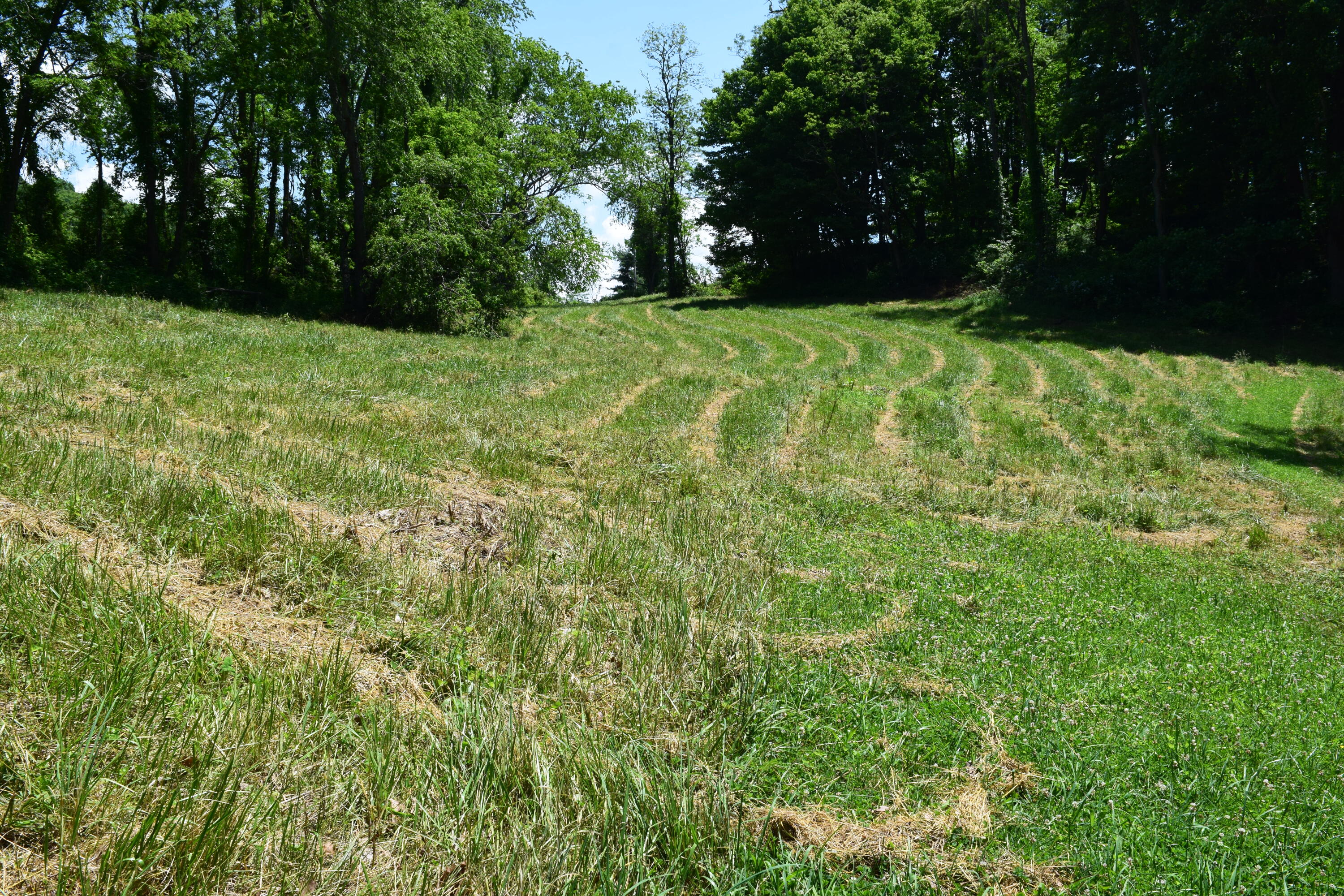0 Coles Knob Road Northeast Pilot, VA 24138 - Photo 7 of 12 7