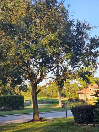 a view of yard with green space