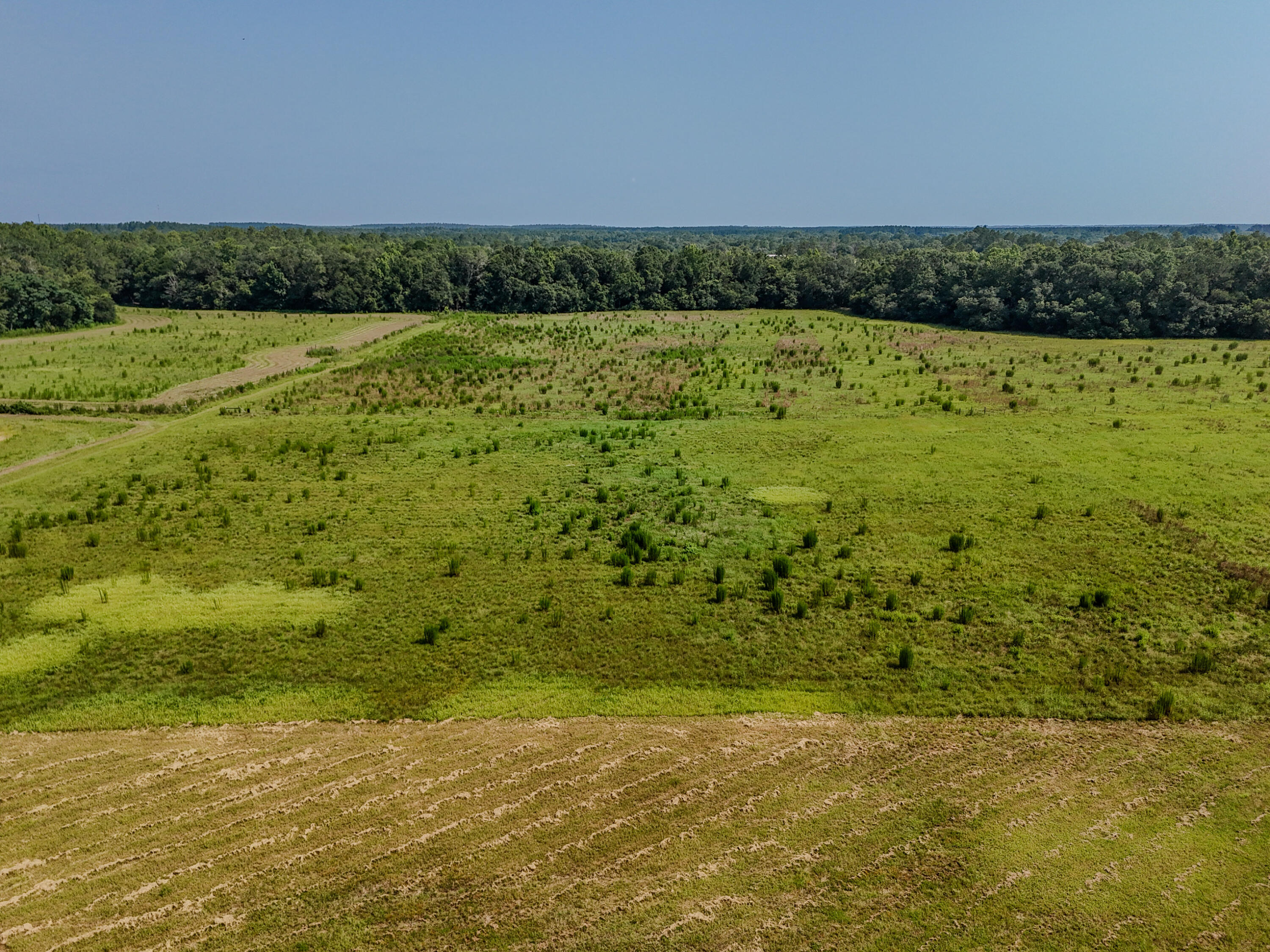 3128 County Road 10 Samson, AL 36477 - Photo 56 of 67 DJI_20260630231239_0028_D