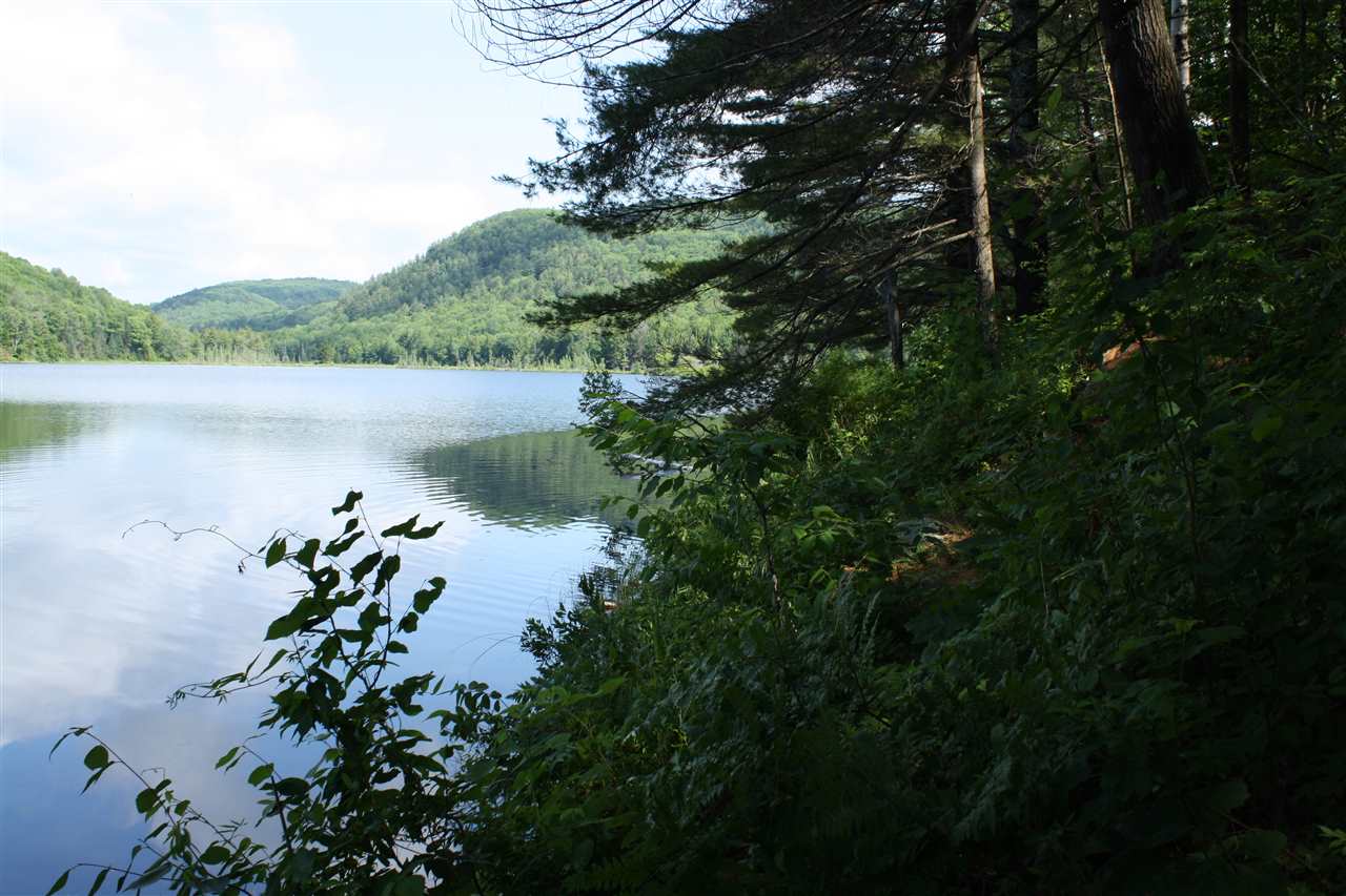 0 Hunt Mill Road East Ryegate, VT 05042 - Photo 11 of 16