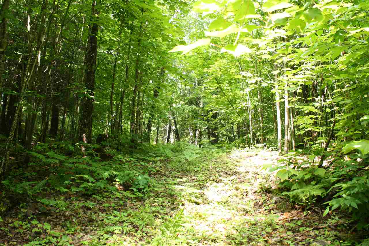 0 Hunt Mill Road East Ryegate, VT 05042 - Photo 3 of 16