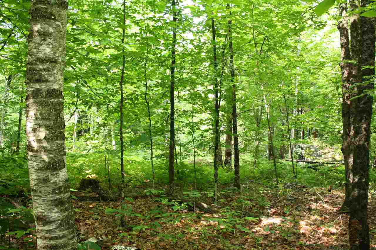 0 Hunt Mill Road East Ryegate, VT 05042 - Photo 5 of 16
