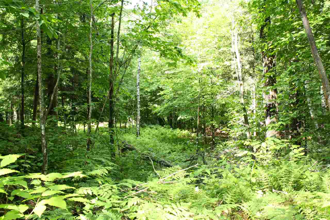 0 Hunt Mill Road East Ryegate, VT 05042 - Photo 6 of 16