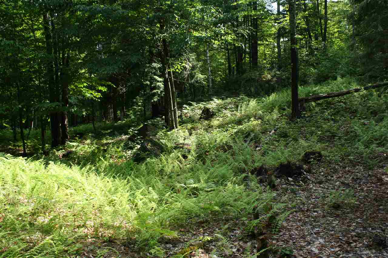 0 Hunt Mill Road East Ryegate, VT 05042 - Photo 7 of 16