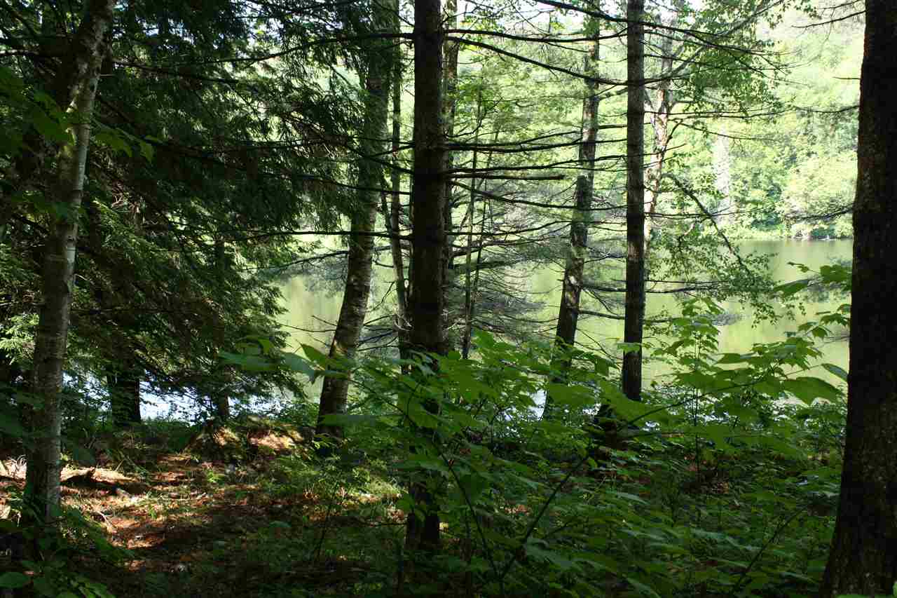 0 Hunt Mill Road East Ryegate, VT 05042 - Photo 8 of 16