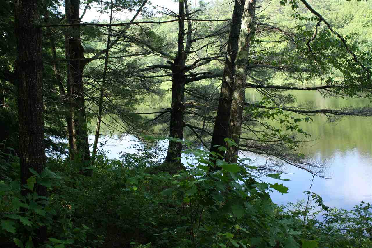 0 Hunt Mill Road East Ryegate, VT 05042 - Photo 9 of 16
