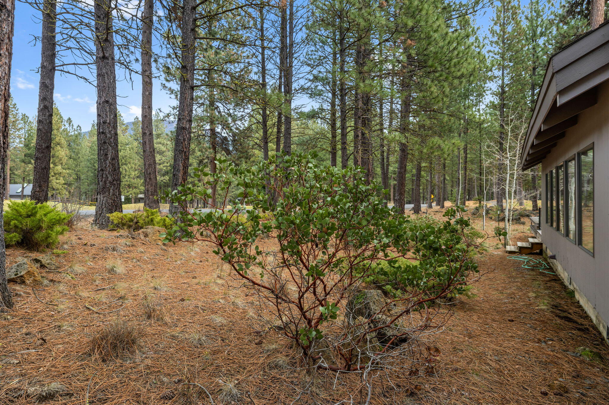 13168 Hawks Beard Black Butte Ranch, OR 97759 - Photo 35 of 47 a view of a garden with pathway