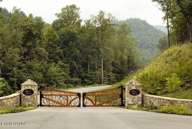 460 Mountain John Loop  