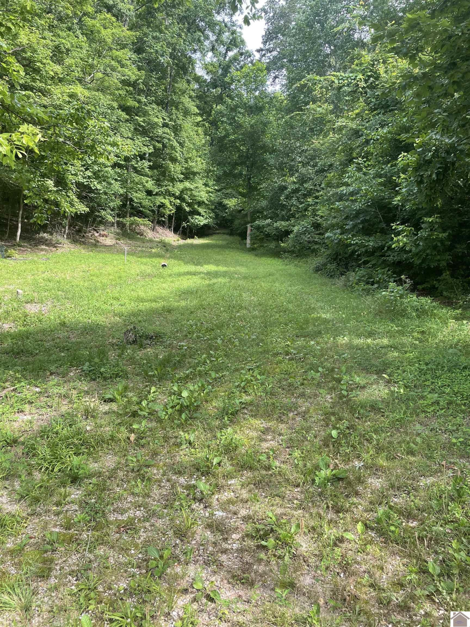 3642 Linton Road Cadiz, KY 42211 - Photo 1 of 18 Photo 1