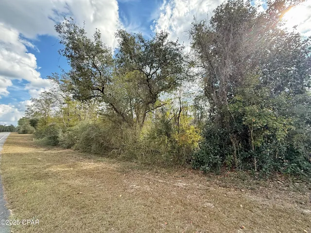 $14,900 | Lot 24 Nortek Boulevard, Marianna, FL 32448