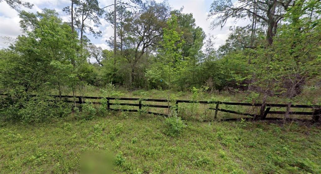 52 Northeast River Ridge Way Lee, FL 32059 - Photo 2 of 6 a view of park with bench and trees