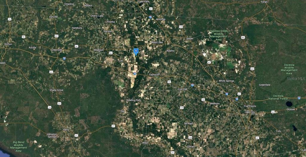 52 Northeast River Ridge Way Lee, FL 32059 - Photo 5 of 6 a view of a tree