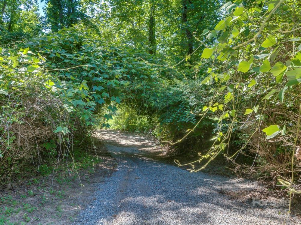 60 Bridge Lane Tryon, NC 28782 - Photo 36 of 42