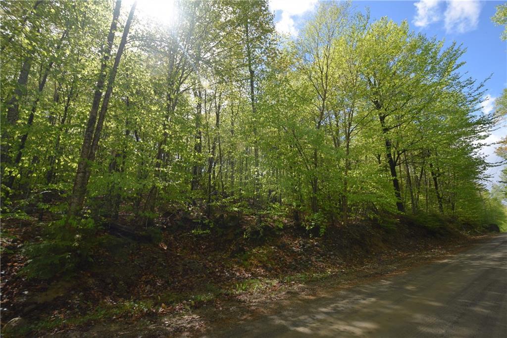 432 Lot Road Danforth, ME 04424 - Photo 4 of 10 Land across the road is part of the...