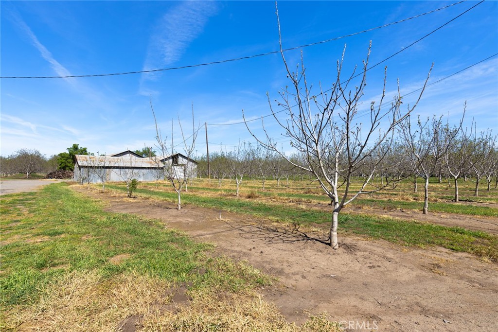 2192 Oak Way Chico, CA 95973 - Photo 9 of 13 a backyard of a house with lots of green space