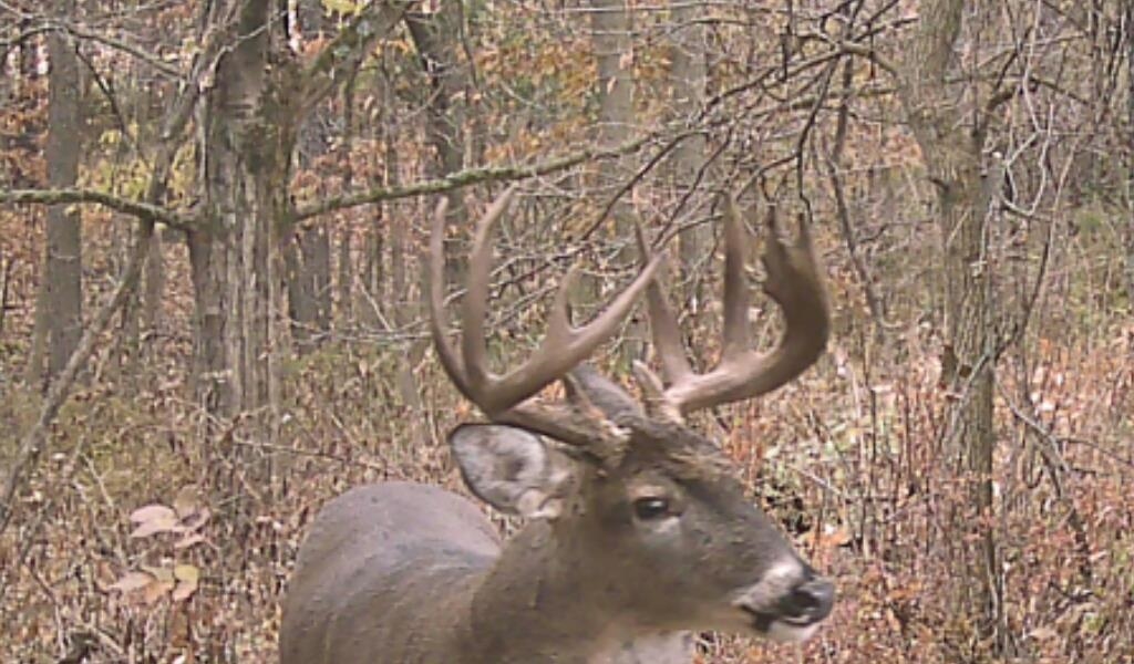 S7304 Sandusky Road Hillpoint, WI 53937 - Photo 5 of 88