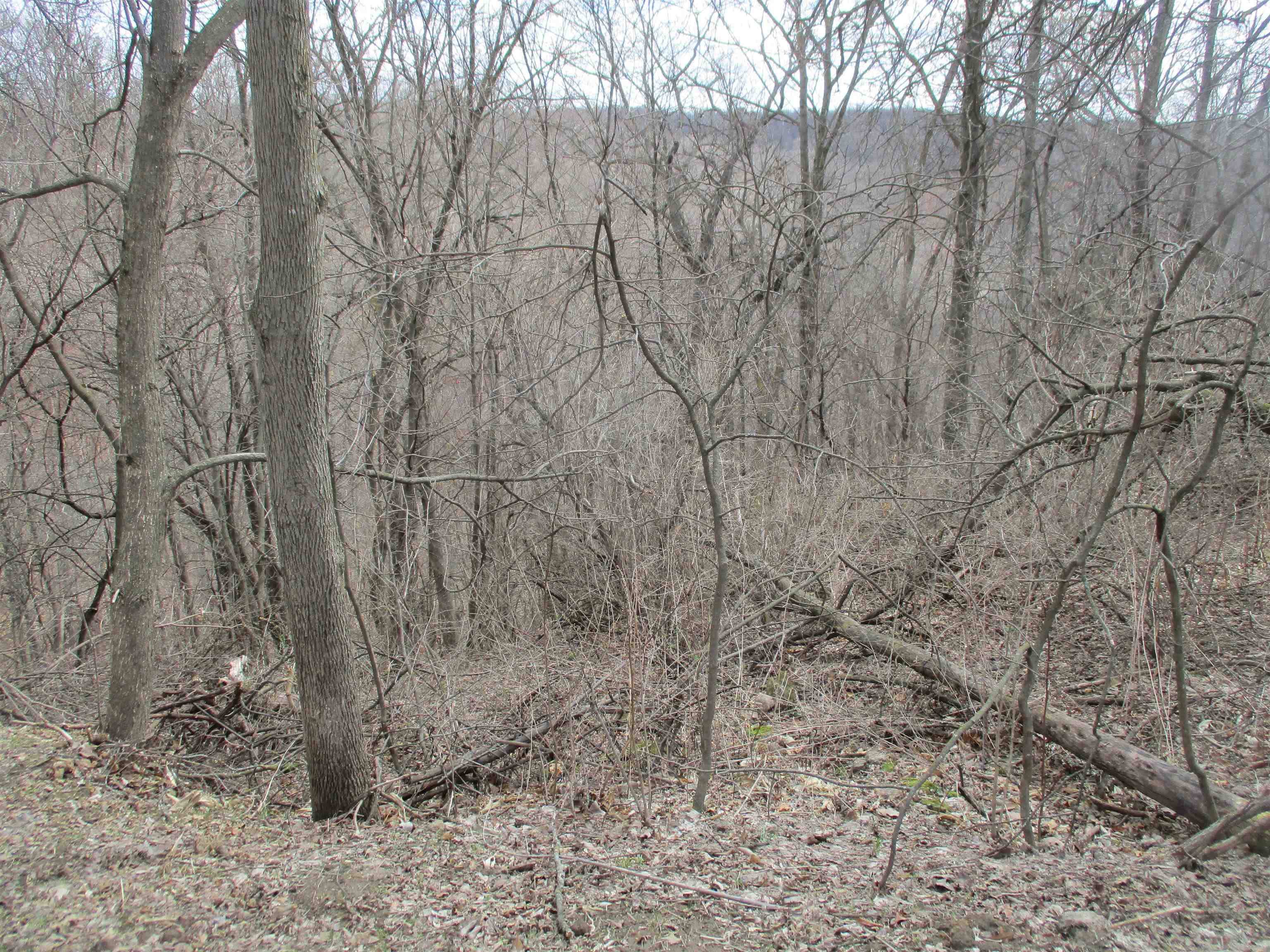 S7304 Sandusky Road Hillpoint, WI 53937 - Photo 57 of 88