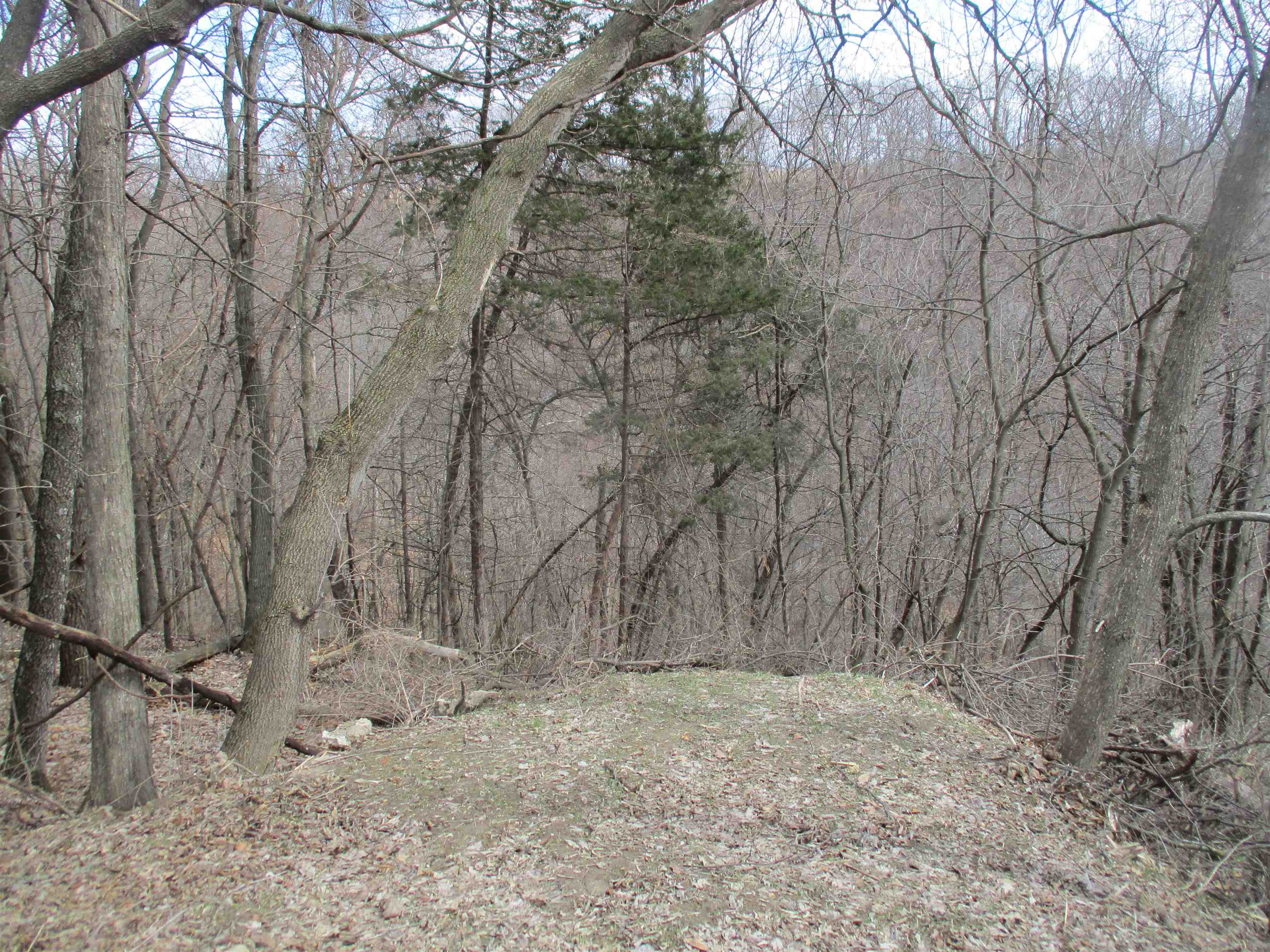 S7304 Sandusky Road Hillpoint, WI 53937 - Photo 58 of 88