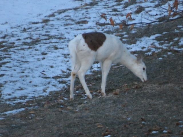 S7304 Sandusky Road Hillpoint, WI 53937 - Photo 6 of 88