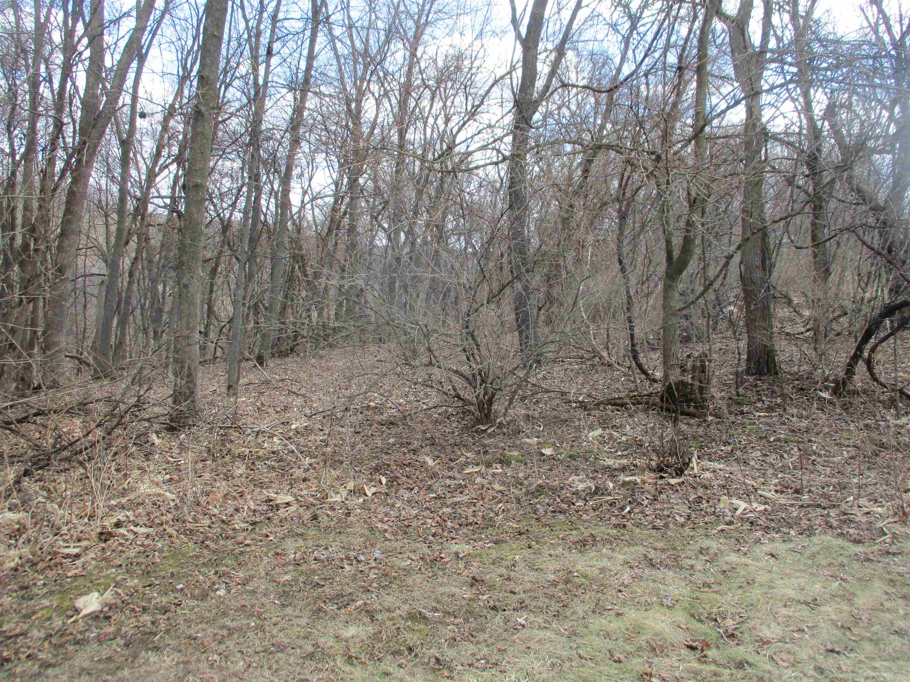 S7304 Sandusky Road Hillpoint, WI 53937 - Photo 78 of 88