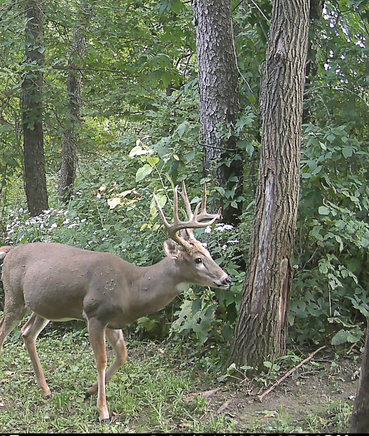 S7304 Sandusky Road Hillpoint, WI 53937 - Photo 79 of 88