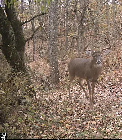 $625,000 | S7304 Sandusky Road, Hillpoint, WI 53937