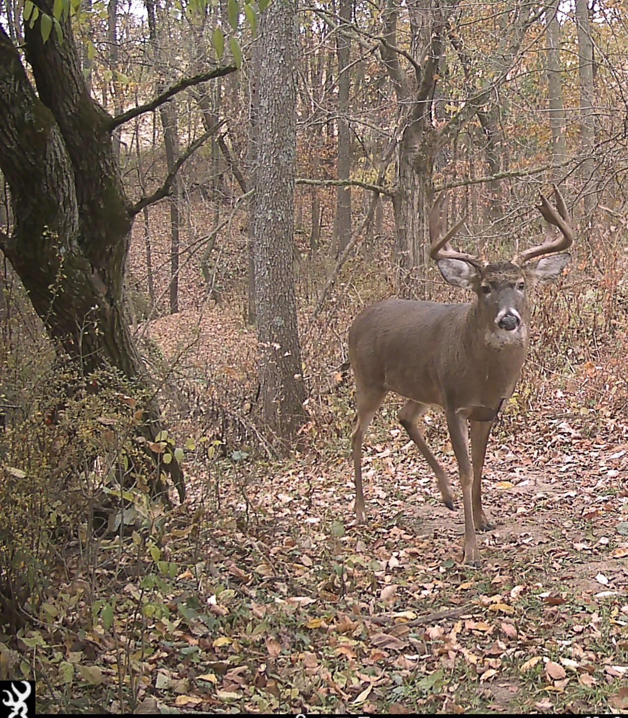 S7304 Sandusky Road Hillpoint, WI 53937 - Photo 80 of 88