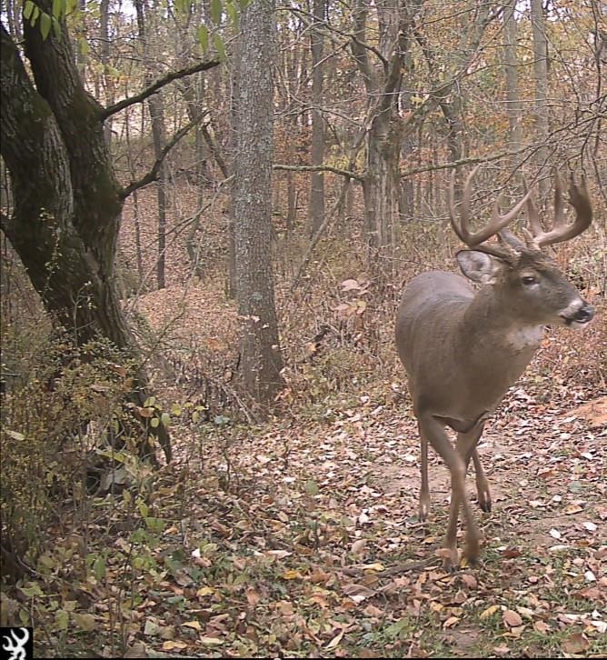 S7304 Sandusky Road Hillpoint, WI 53937 - Photo 81 of 88