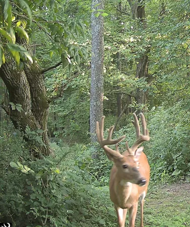 $625,000 | S7304 Sandusky Road, Hillpoint, WI 53937