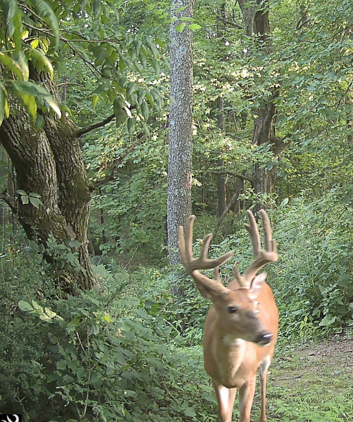 S7304 Sandusky Road Hillpoint, WI 53937 - Photo 82 of 88