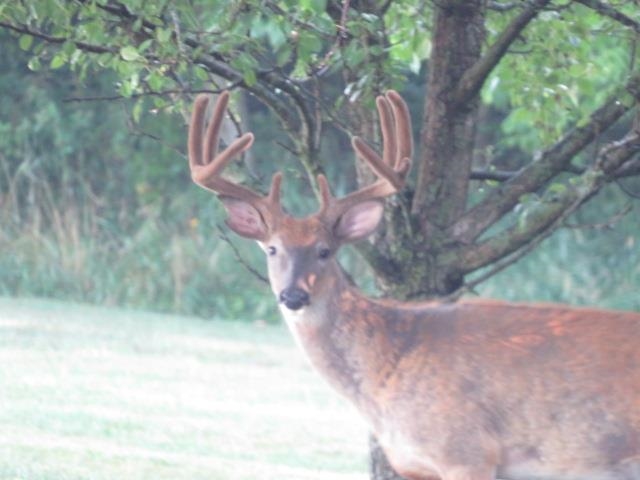 S7304 Sandusky Road Hillpoint, WI 53937 - Photo 86 of 88