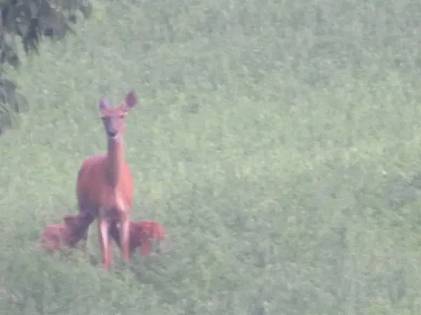 $625,000 | S7304 Sandusky Road, Hillpoint, WI 53937