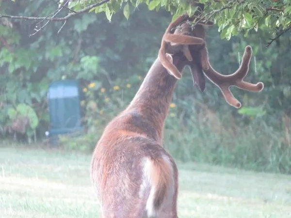 $625,000 | S7304 Sandusky Road, Hillpoint, WI 53937