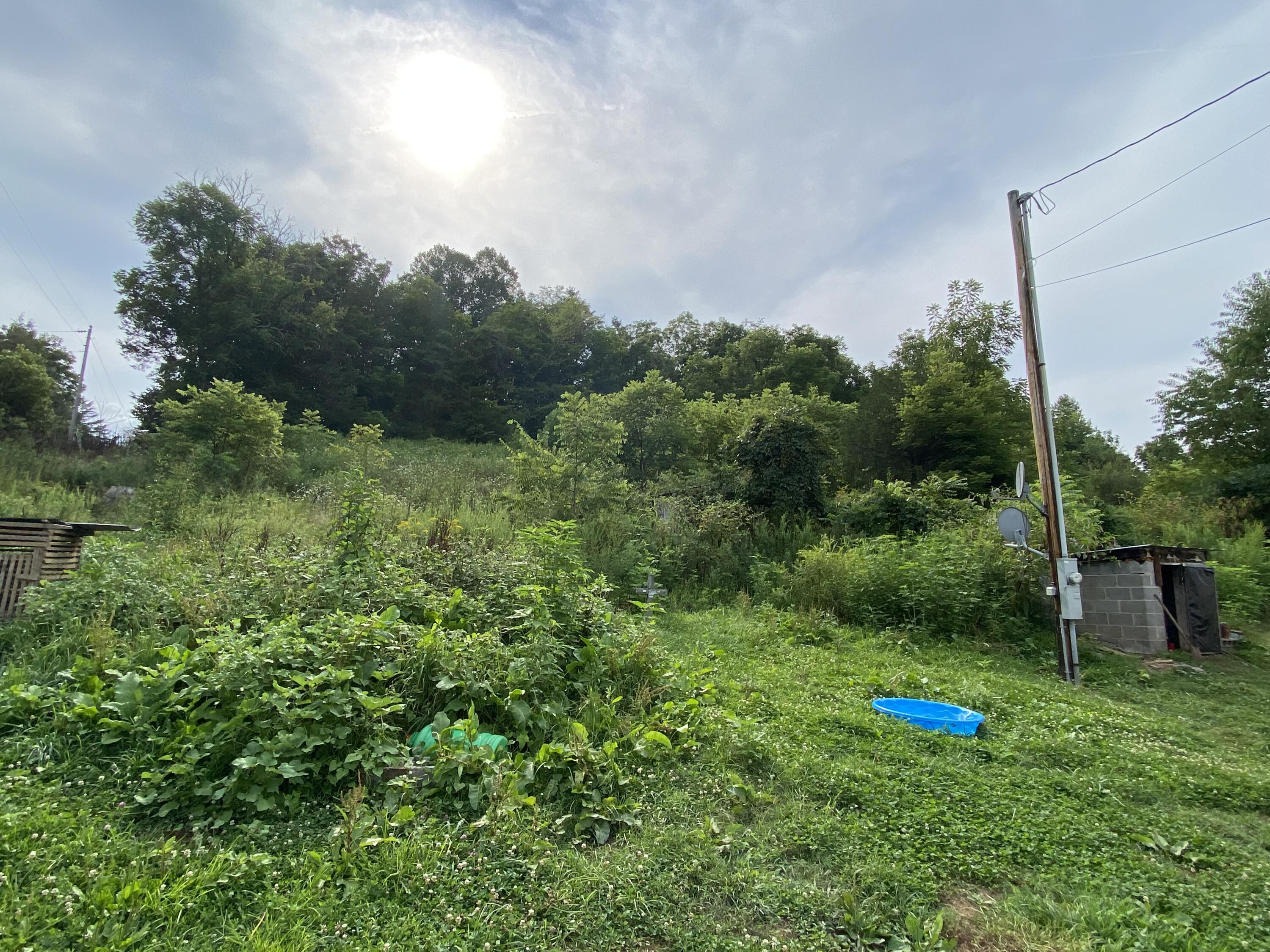 root cellar