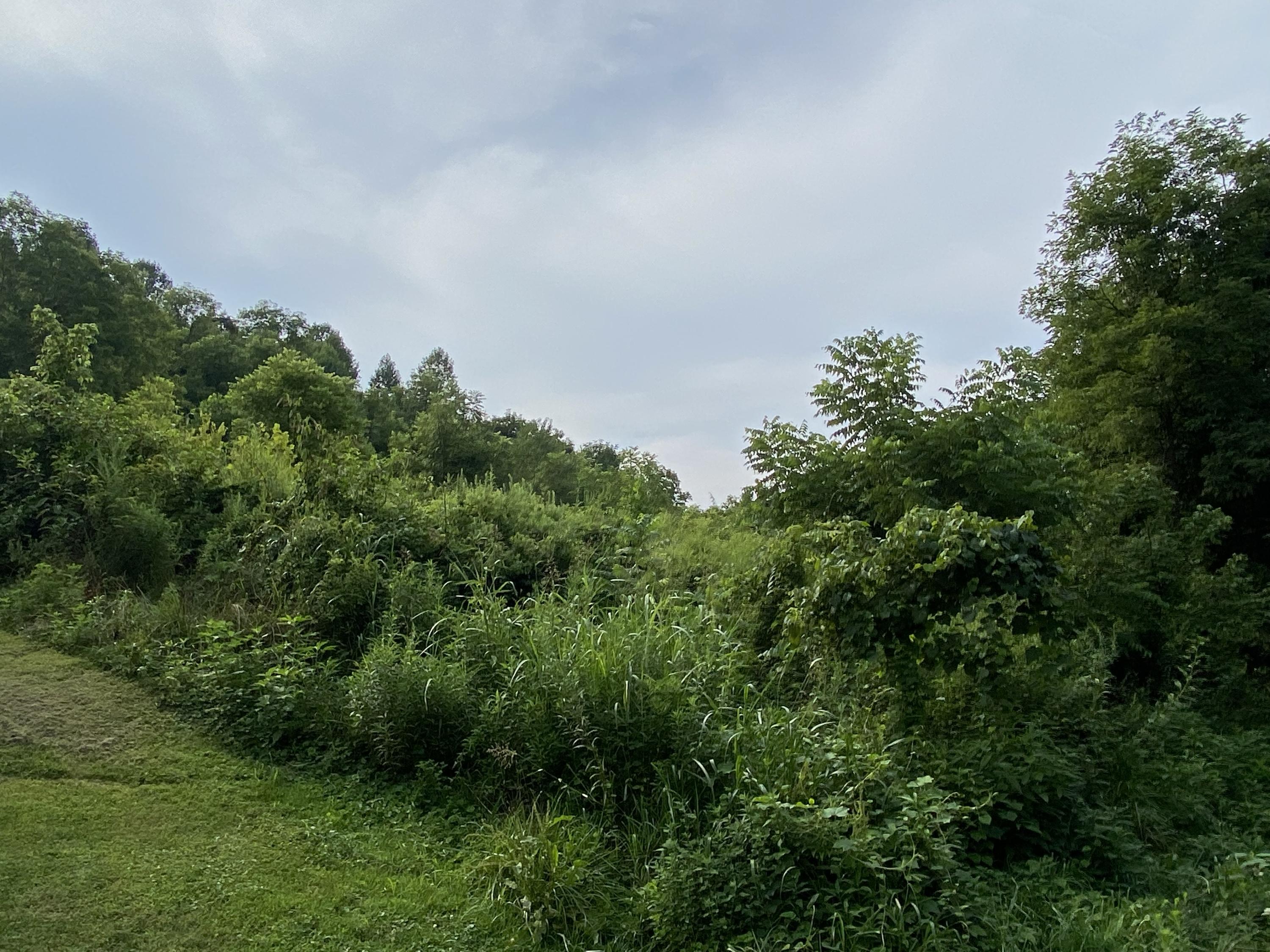 land