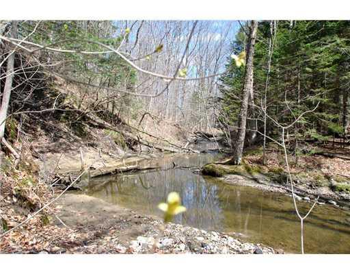 212 Main Street Freeport, ME 04032 - Photo 17 of 18 Yard/Garden.