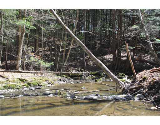 212 Main Street Freeport, ME 04032 - Photo 18 of 18 Yard/Garden.