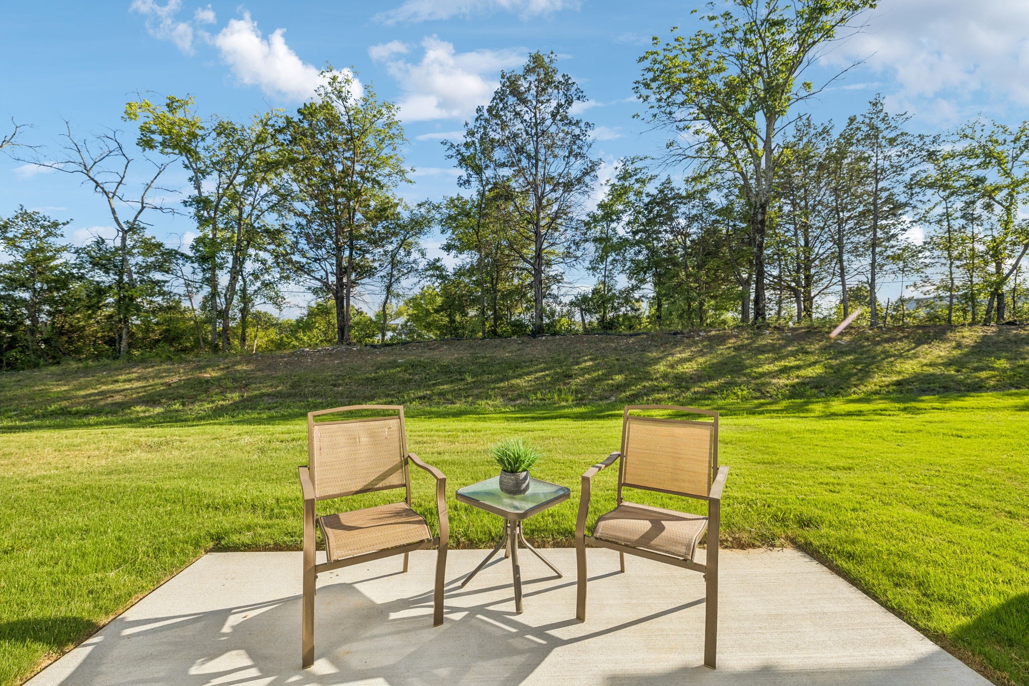 351 Carver Connection Lebanon, TN 37087 - Photo 21 of 24